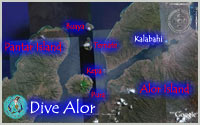 Alor Islands Map - Click to ENLARGE